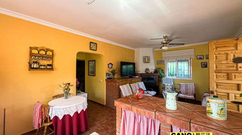 Photo 2 of House or chalet for sale in Cerro del Pico S/n, Alhabia, Almería