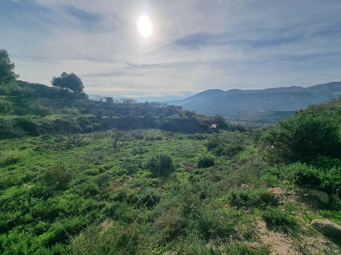 Rural land for sale in Terque, imagen 24