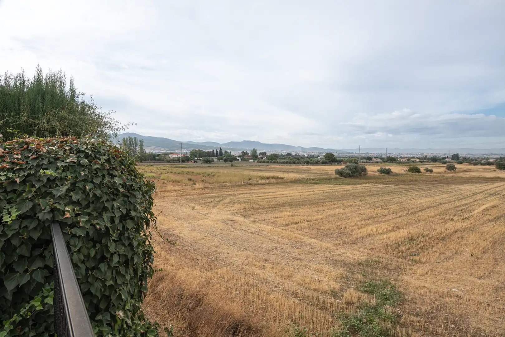 Houses for sale in Genil