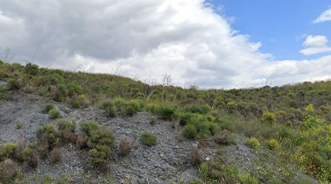 CORTIJO EN LORCA, Bild 2