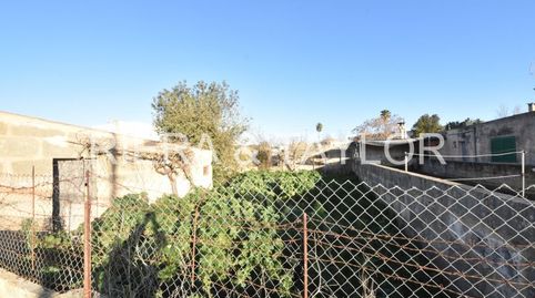 Foto 2 de Finca rústica en venta en Manacor Centre, Manacor