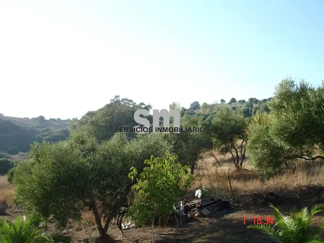 Terreni e lotti in vendita a Ubrique, imagen 18