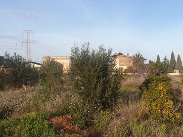 Terreno residenziale in vendita a Madrigal