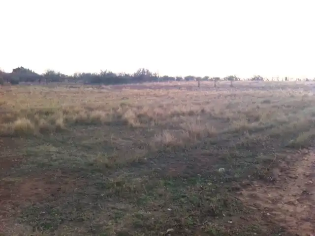 Terreny rústic en venda a Partida TOT SOL, imagen 2