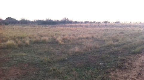 TERRENO RUSTICO EN VENTA CERCA DE VALL DALBA, immagine 2