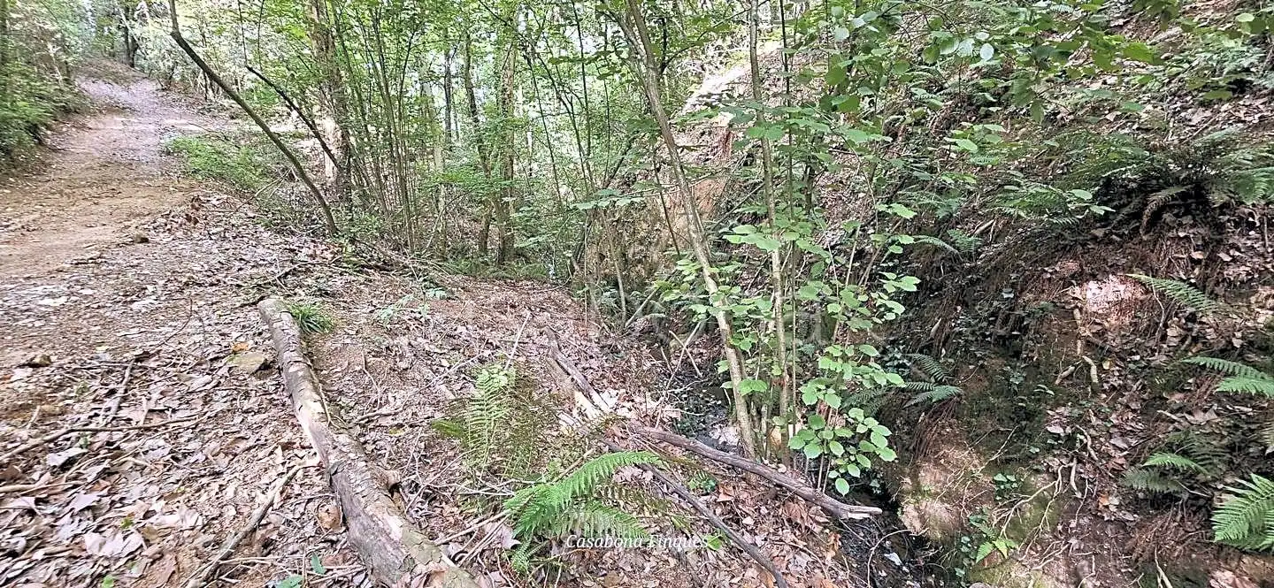 Finca rústica en venta en Arbúcies con Jardín privado, Terraza y Amueblado