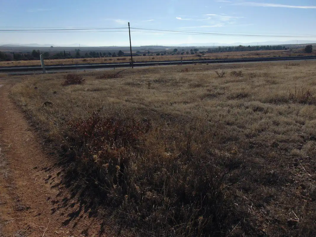 Terreno rustico in vendita a Valdepeñas, imagen 6