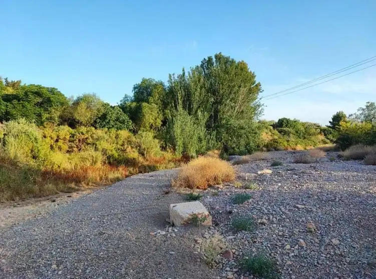 Terrain rustique à vendre à Partida Carrases, imagen 8