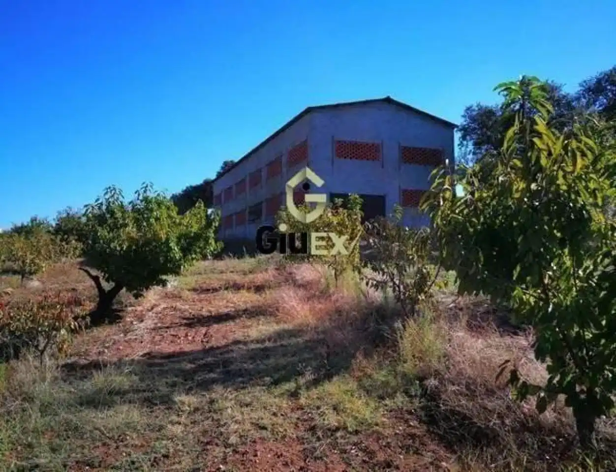 Casa o chalet en venta en Tejeda de Tiétar