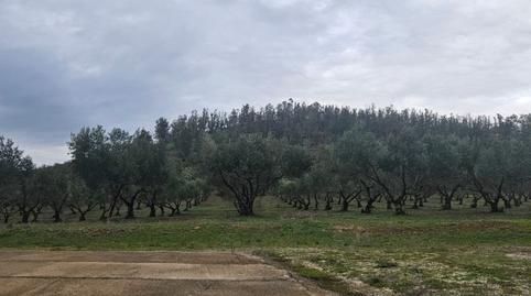 Foto 4 de Finca rústica en venda a Llerena, Badajoz