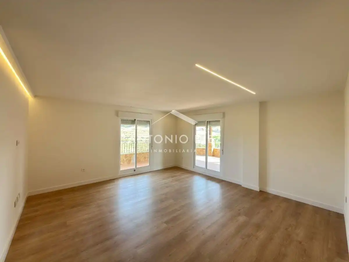 Sala d'estar de Àtic en venda en Aspe amb Aire condicionat, Terrassa i Traster