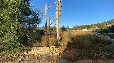 Photo 4 of Residential for sale in Roca Tallada, Alcanar, Spain, -1, Alcanar, Tarragona