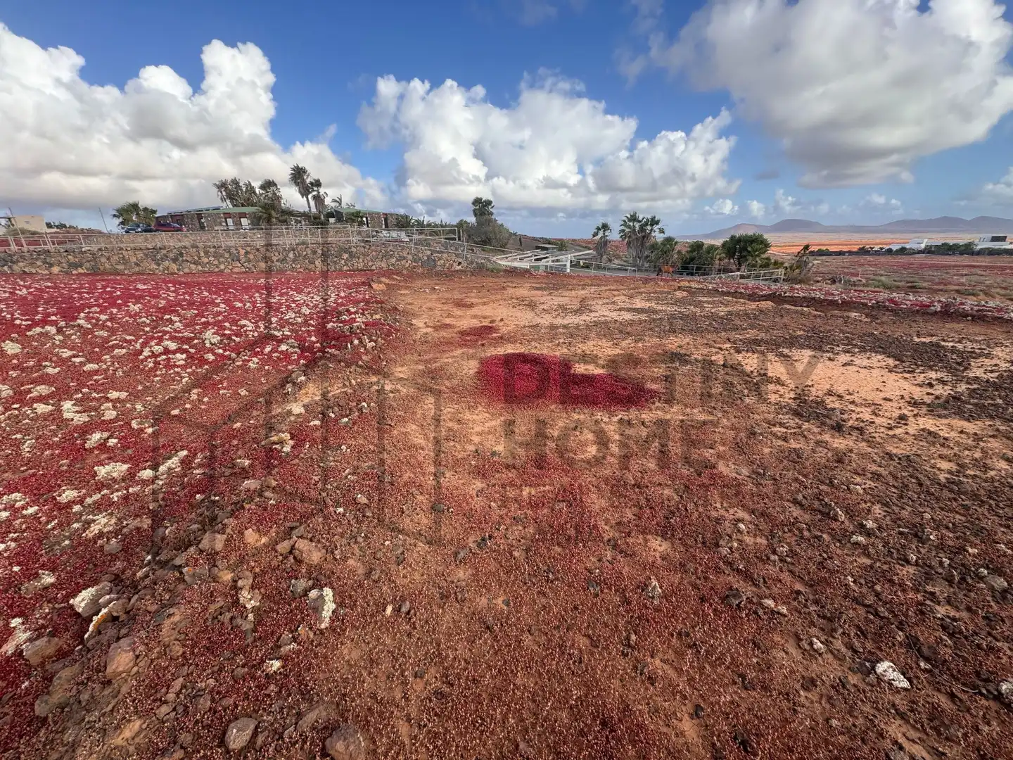 Terreno en venta en La Oliva