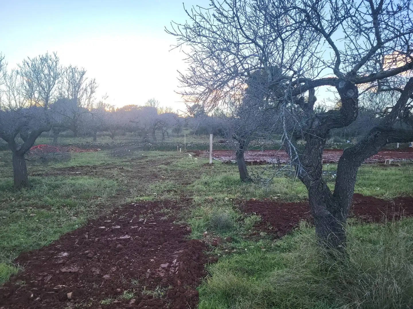 Casa o chalet en venta en Partida MONTALBA, Vall d'Alba