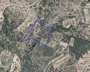 Land for sale in Altura