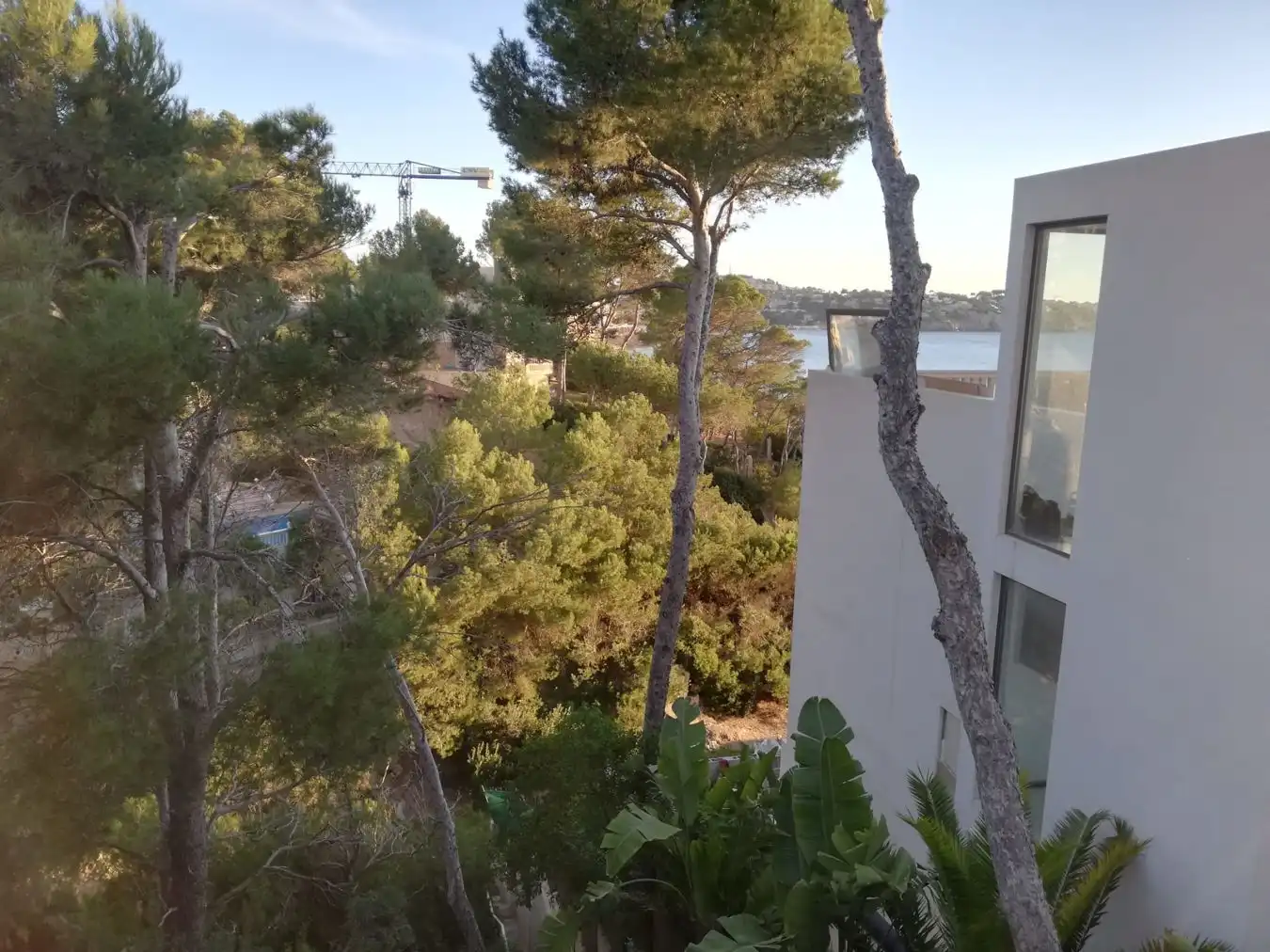 Maison rustique avec piscine à vendre à Costa de la Calma, imagen 4