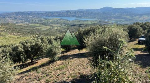 Parcela rústica agraria en Alcaucín de 16000 m2, immagine 4