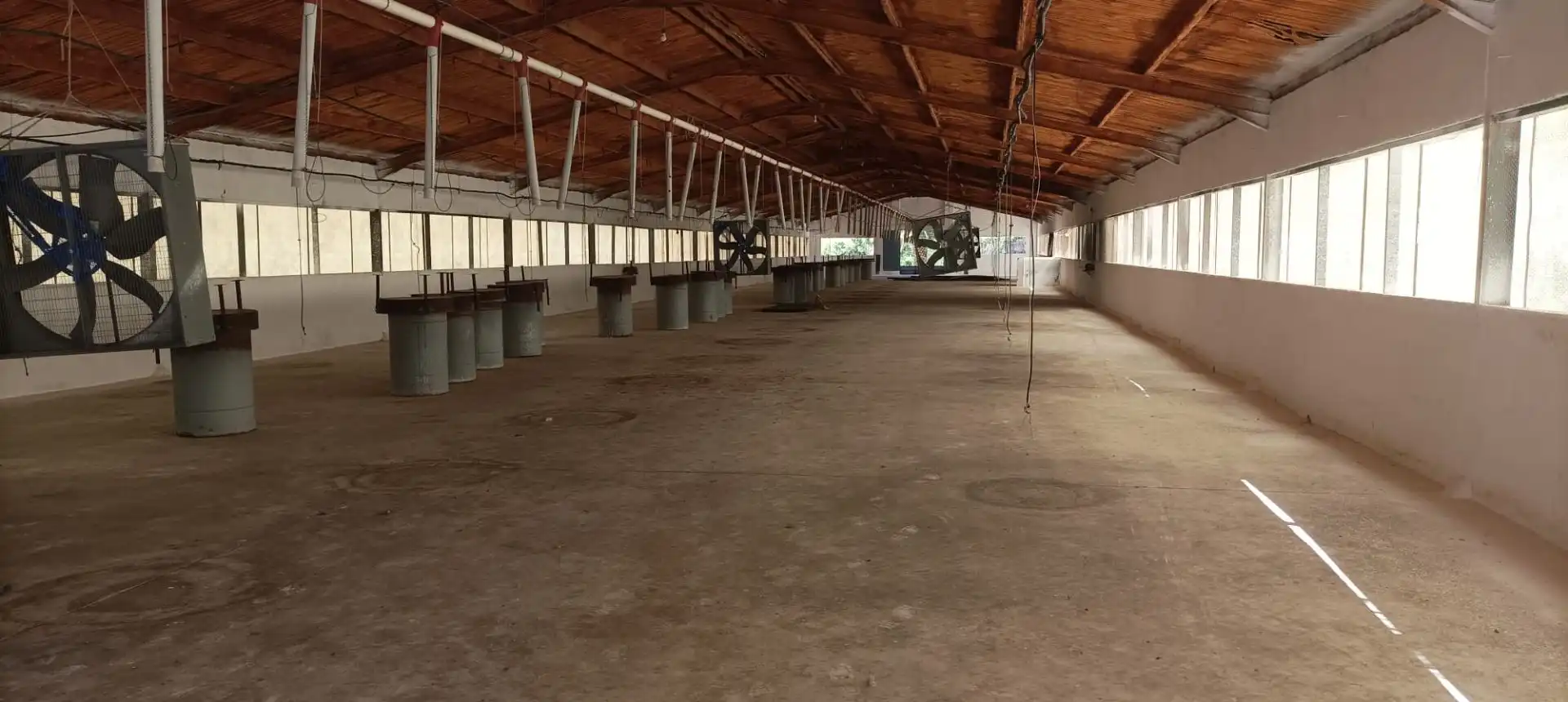 Industrial building to rent in Arriate, imagen 11