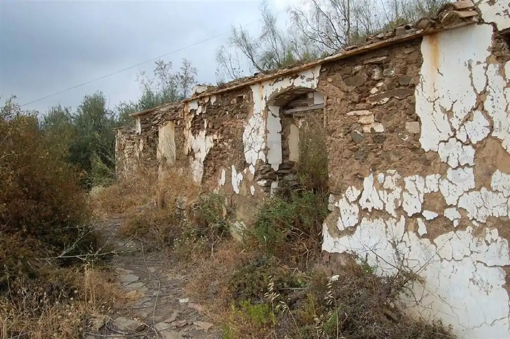 Terreny rústic en venda a Sayalonga, imagen 18