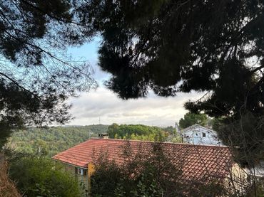 Terreny rústic en venda a CAN FELIU