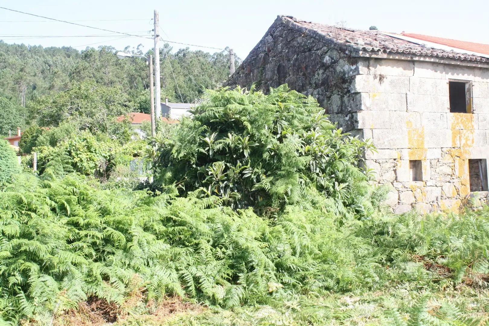 Casa o chalet en venta en Dodro