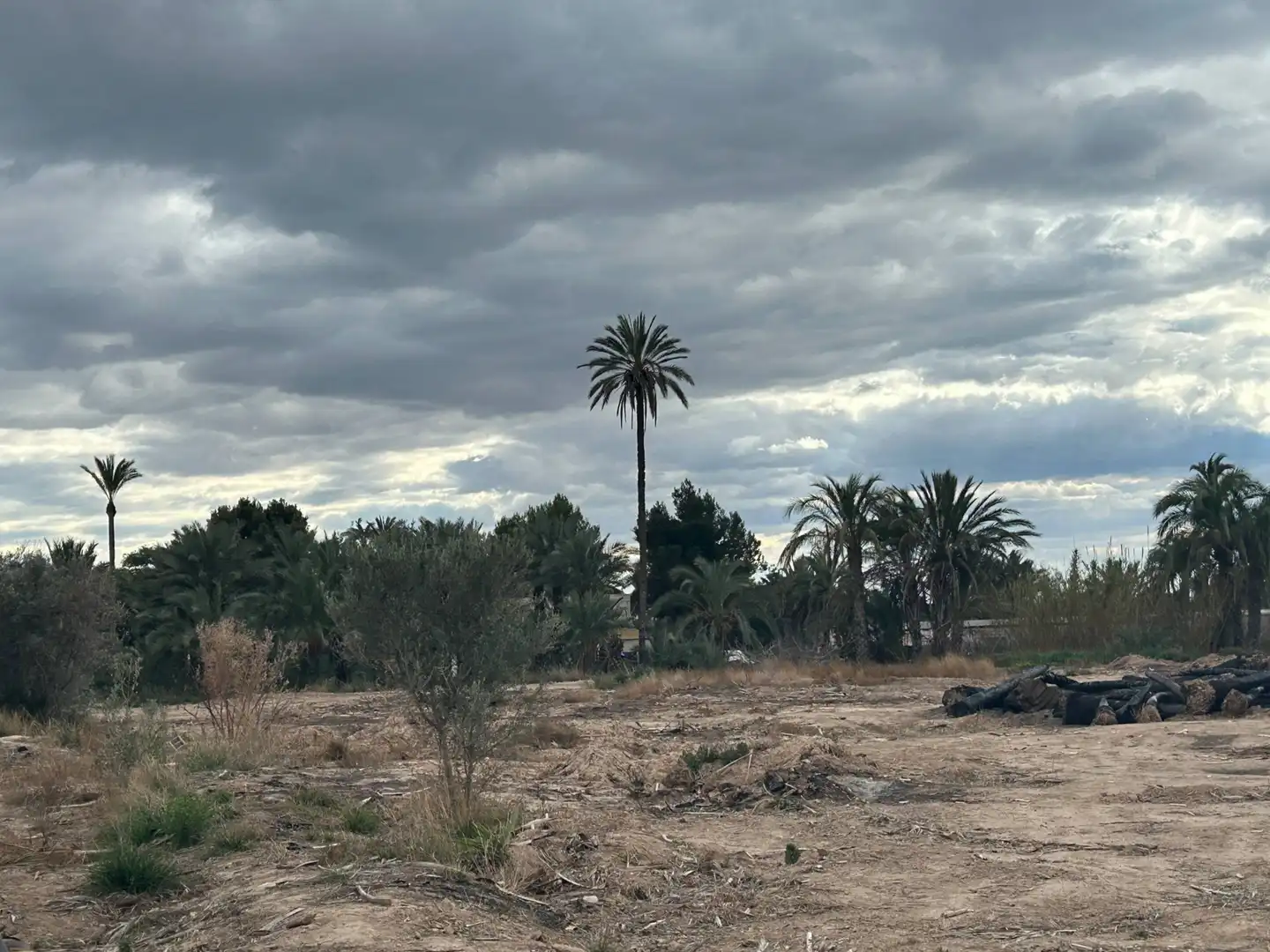 Casa o xalet en venda a Polígono 1, Elche de la Sierra