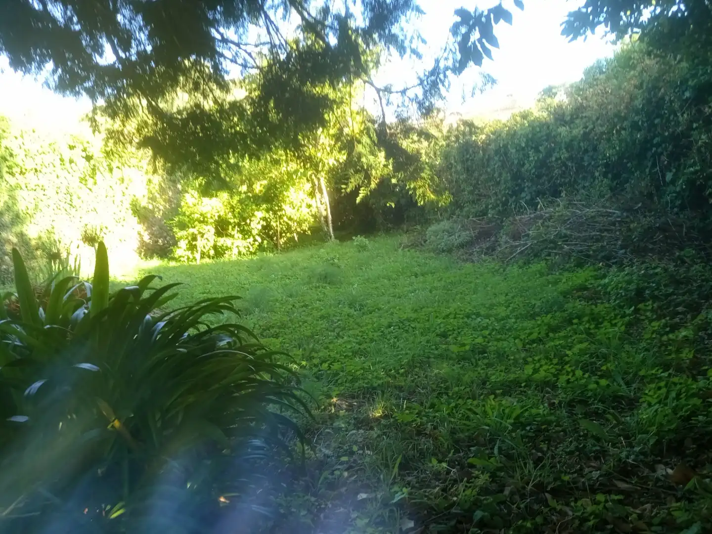 Terreny residencial en venda a Malpica de Bergantiños, imagen 3