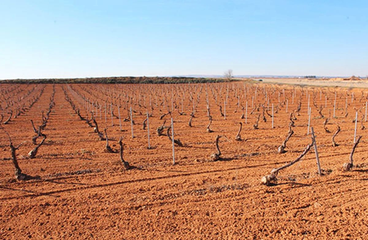 Terreno en venta en Pedro Muñoz