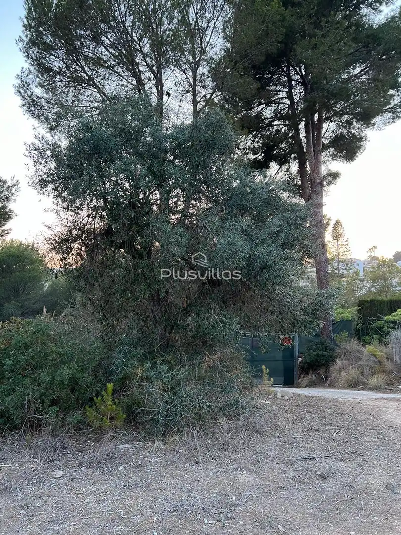 Terrenys i solars en venda a La Viña - Montemar - San Jaime, imagen 4