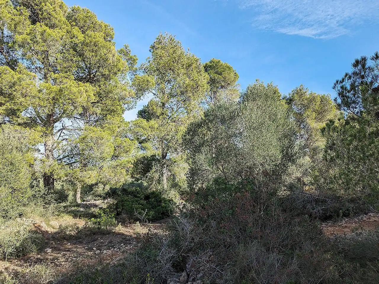 Casa rústica en venta en Ulldecona, imagen 28