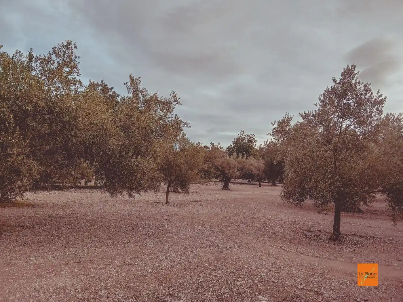 Finca rústica en venta en Santa Bàrbara