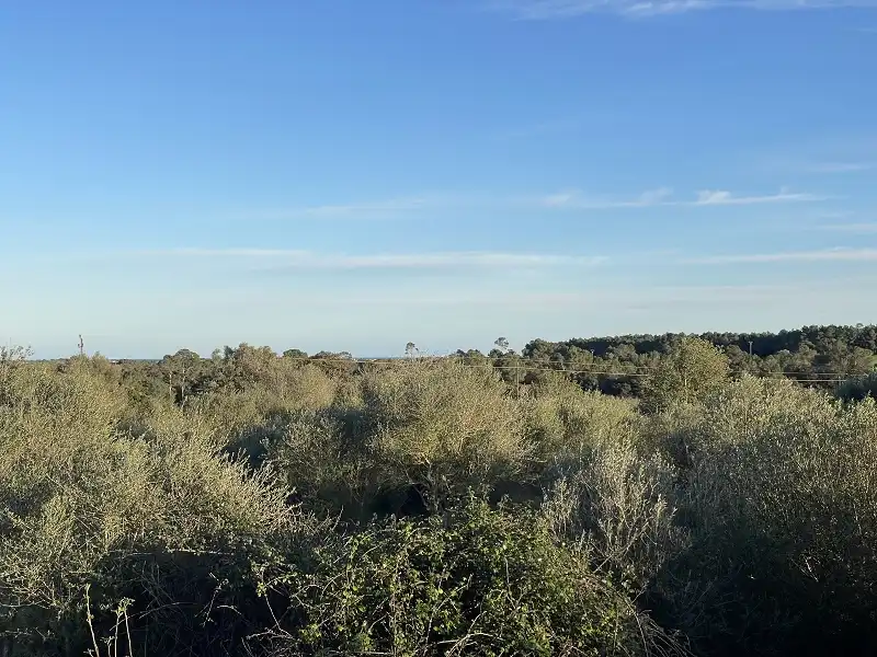 Finca rústica en venda en Manacor