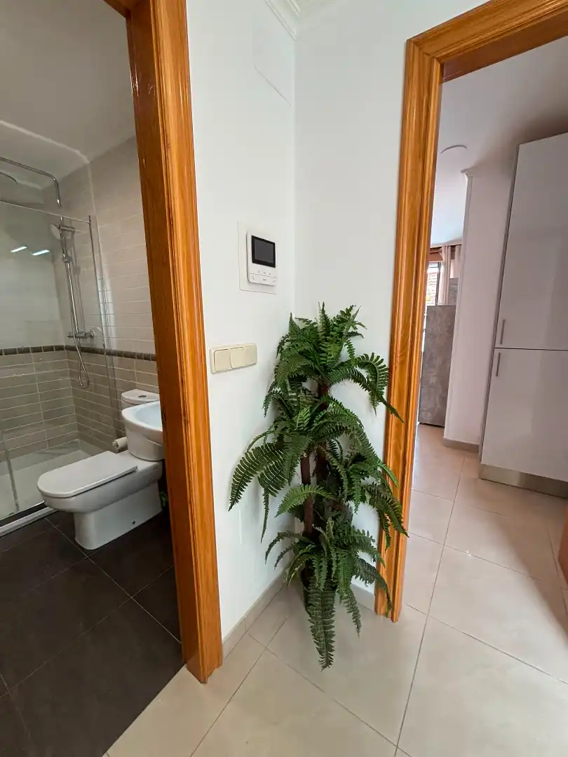 Apartments for rent in Fajardo