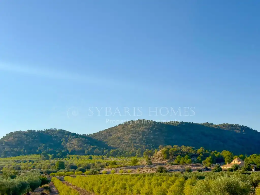 Casa rustica in vendita a Partida Derramao Alt, imagen 47