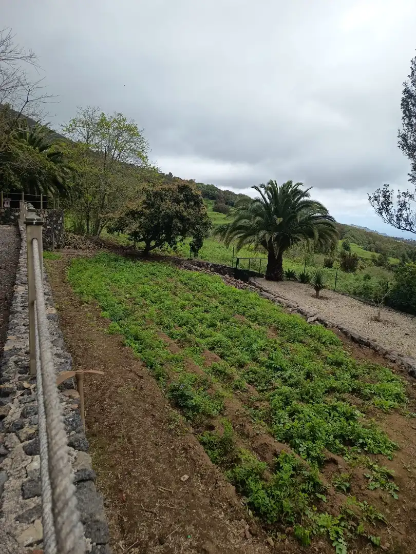 Land for sale in Icod de los Vinos