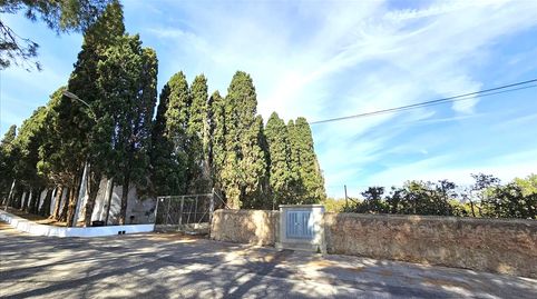 Venta de Finca Rústica en Polígono Partida Safarechot Nº P12 Llaurí ValenciaValència, immagine 4