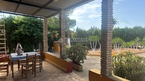 Photo 3 of Country homes for sale in Pilas, Sevilla