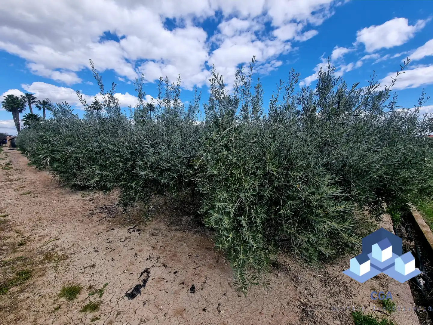 Casa o xalet en venda en Lorca amb Aire condicionat, Calefacció i Jardí privat