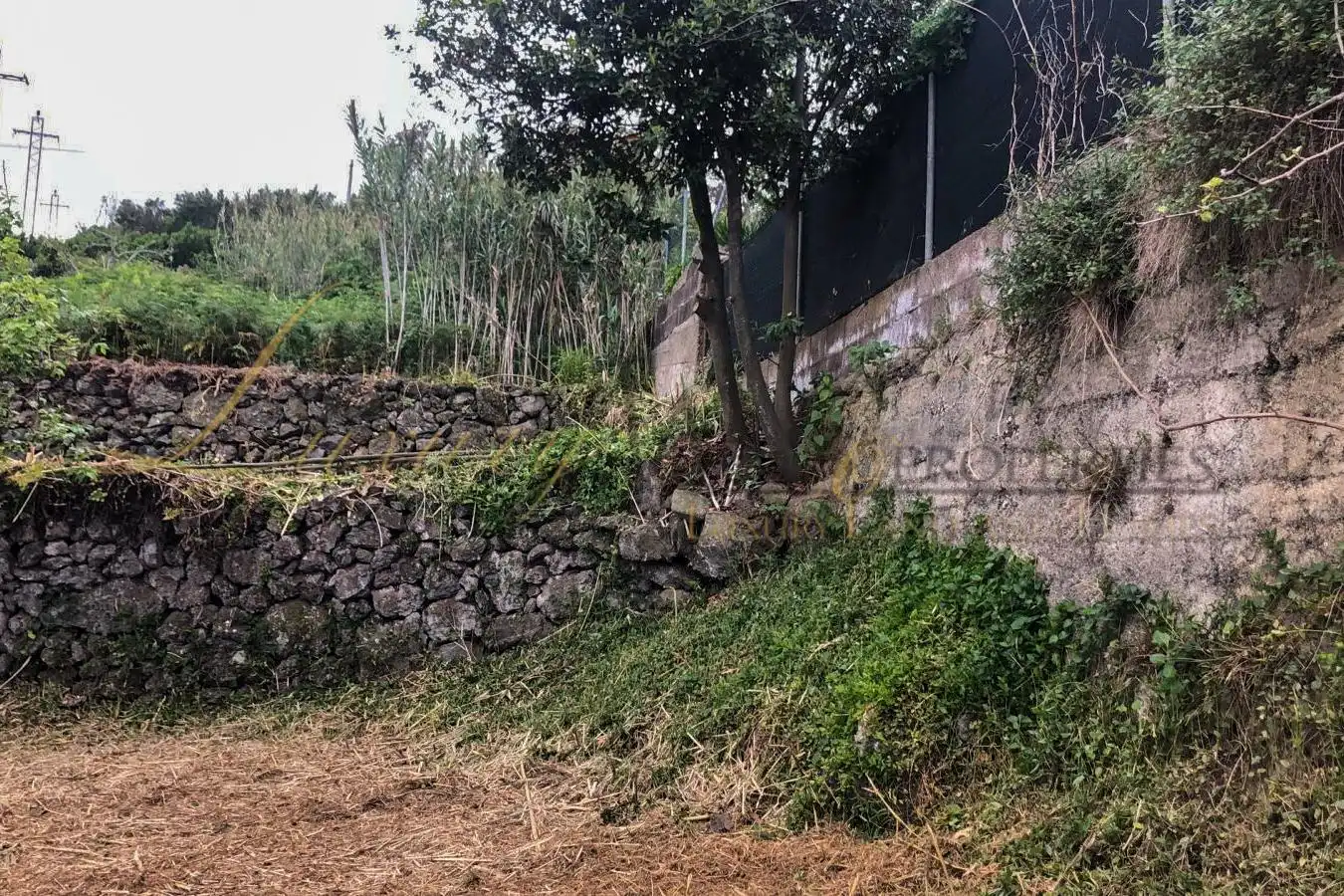 Terrenys i solars en venda a El Tanque, imagen 4