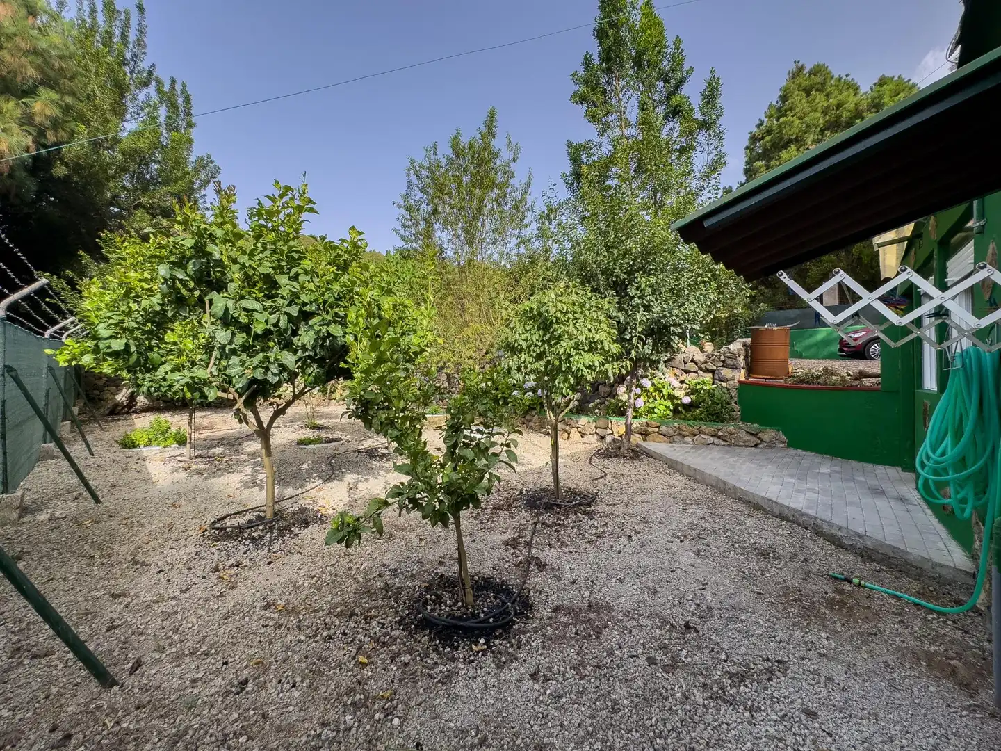 Finca rústica en venda en Icod de los Vinos