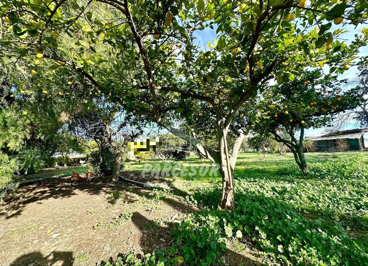 Country house zum Verkauf in Córdoba mit Schwimmbad
