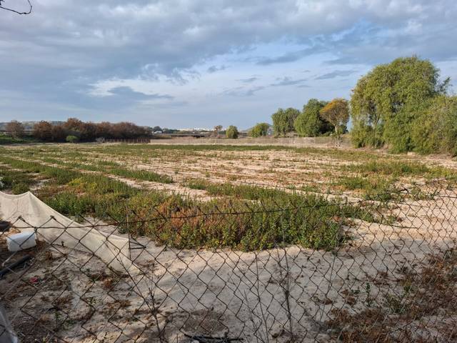 Terreno en Venta en Partida la Capitana en El Edén