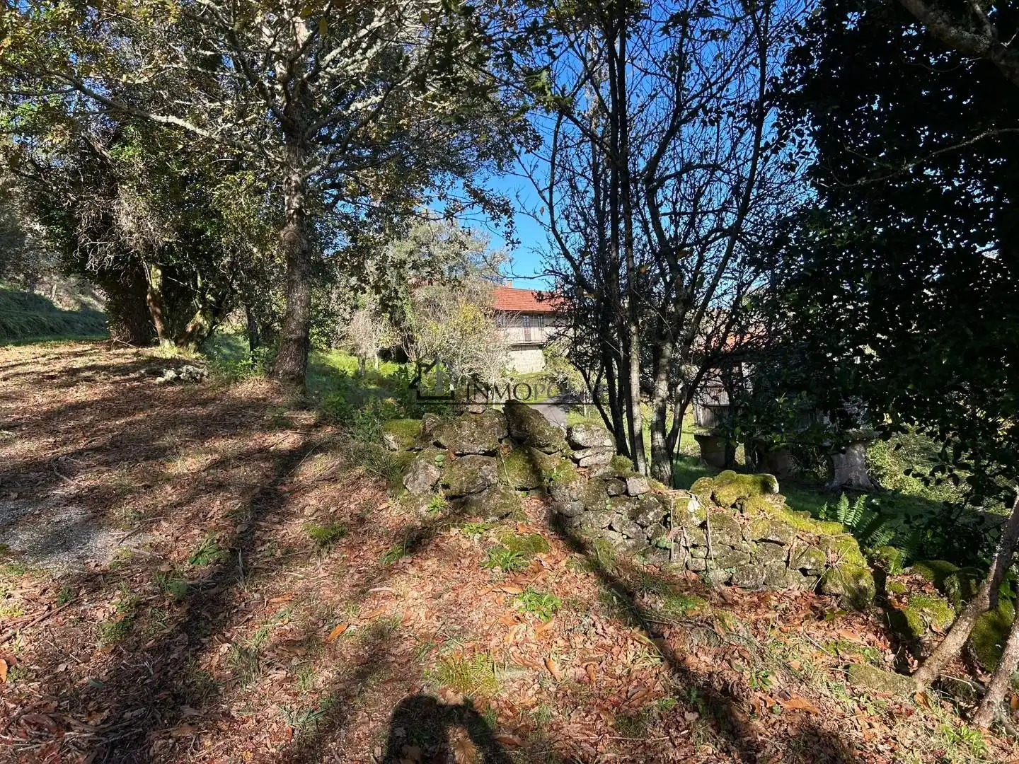 Casa o xalet en venda en Cerdedo amb Jardí privat