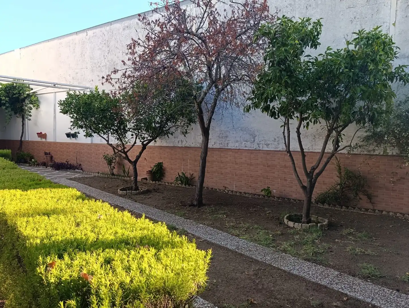Reihenhaus mit Garten zum Verkauf in Castilblanco de los Arroyos, imagen 64
