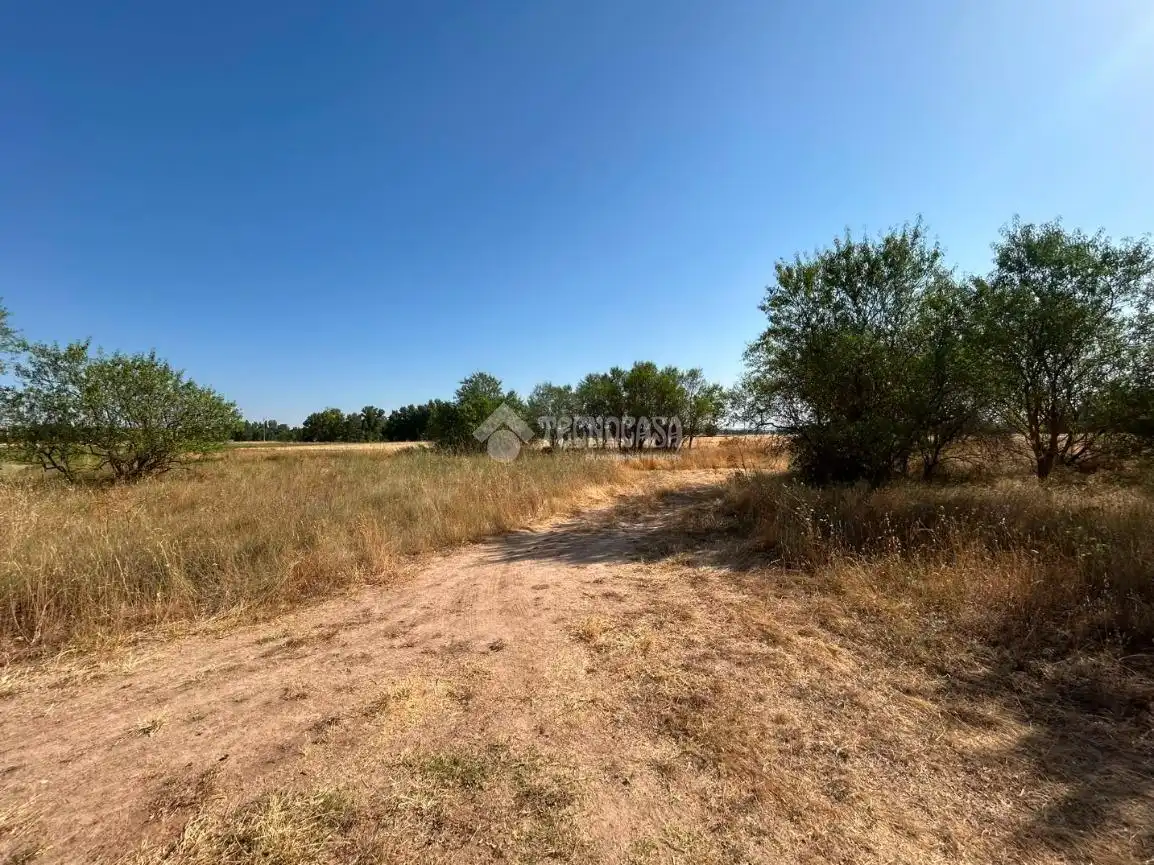 Rural land for sale in Laguna de Duero