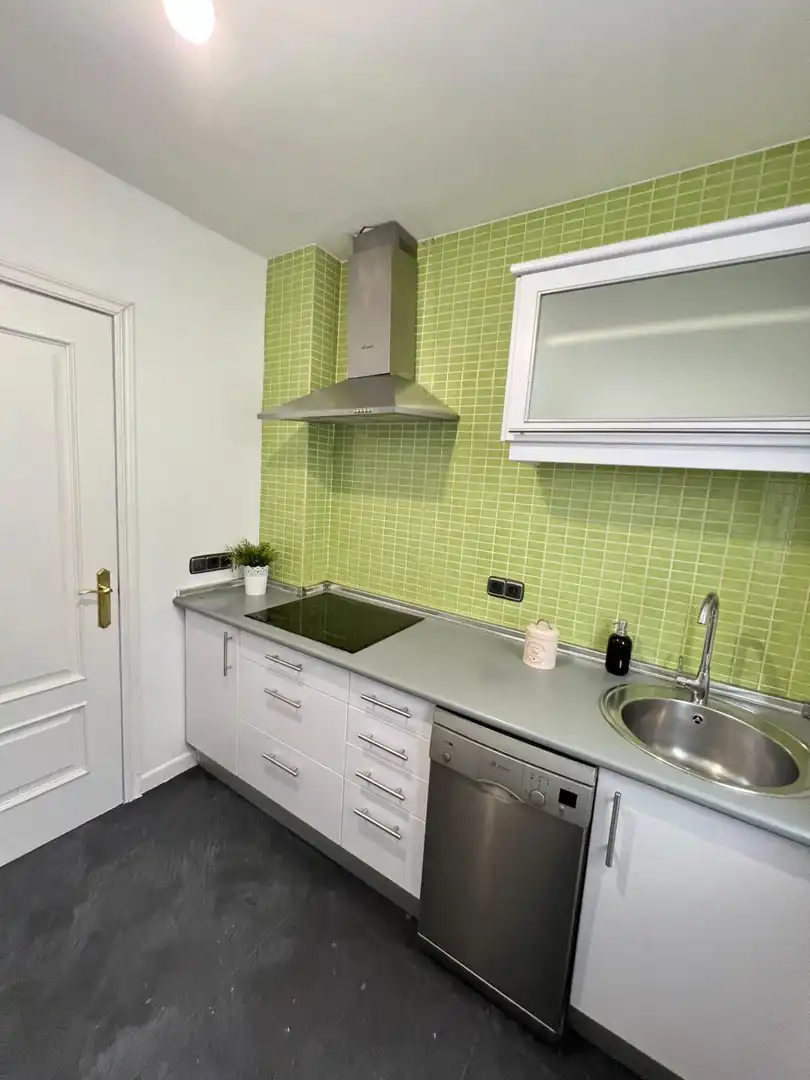 Cuina de Apartament de lloguer en Madrid amb Aire condicionat i Calefacció