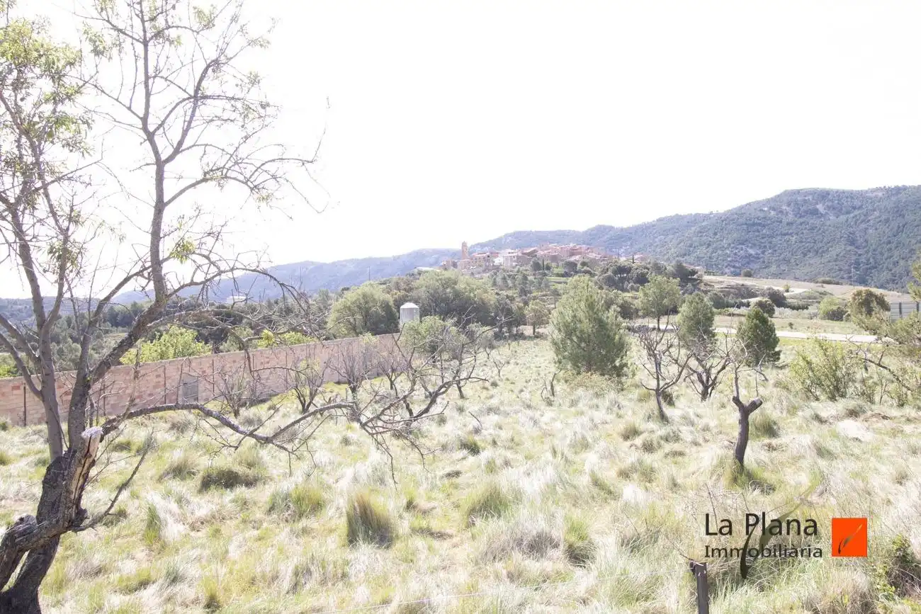 Maison rustique avec jardin à vendre à La Pobla de Benifassà, imagen 24