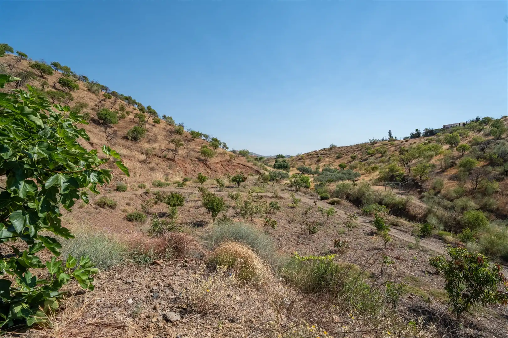 Casa o xalet en venda en Cártama