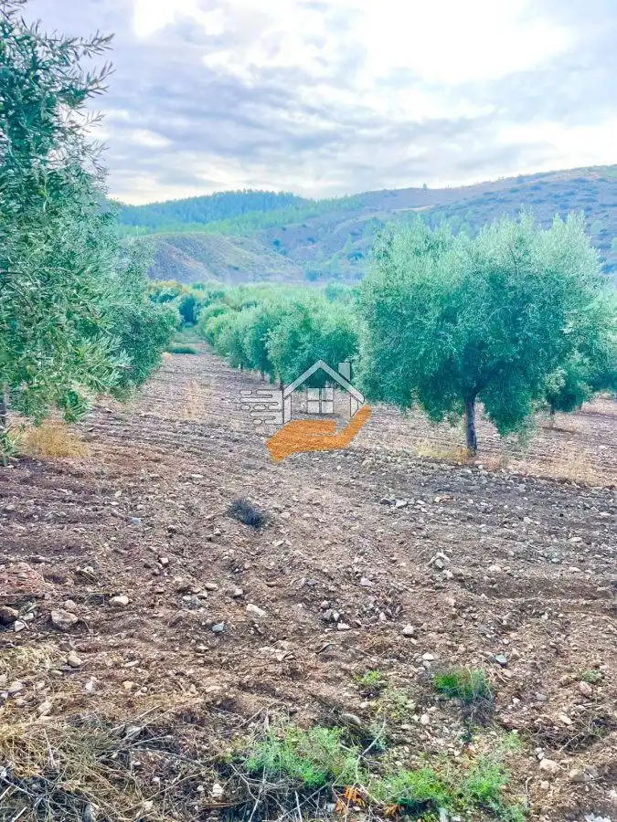 Maison rustique à vendre à Vélez-Rubio, imagen 49
