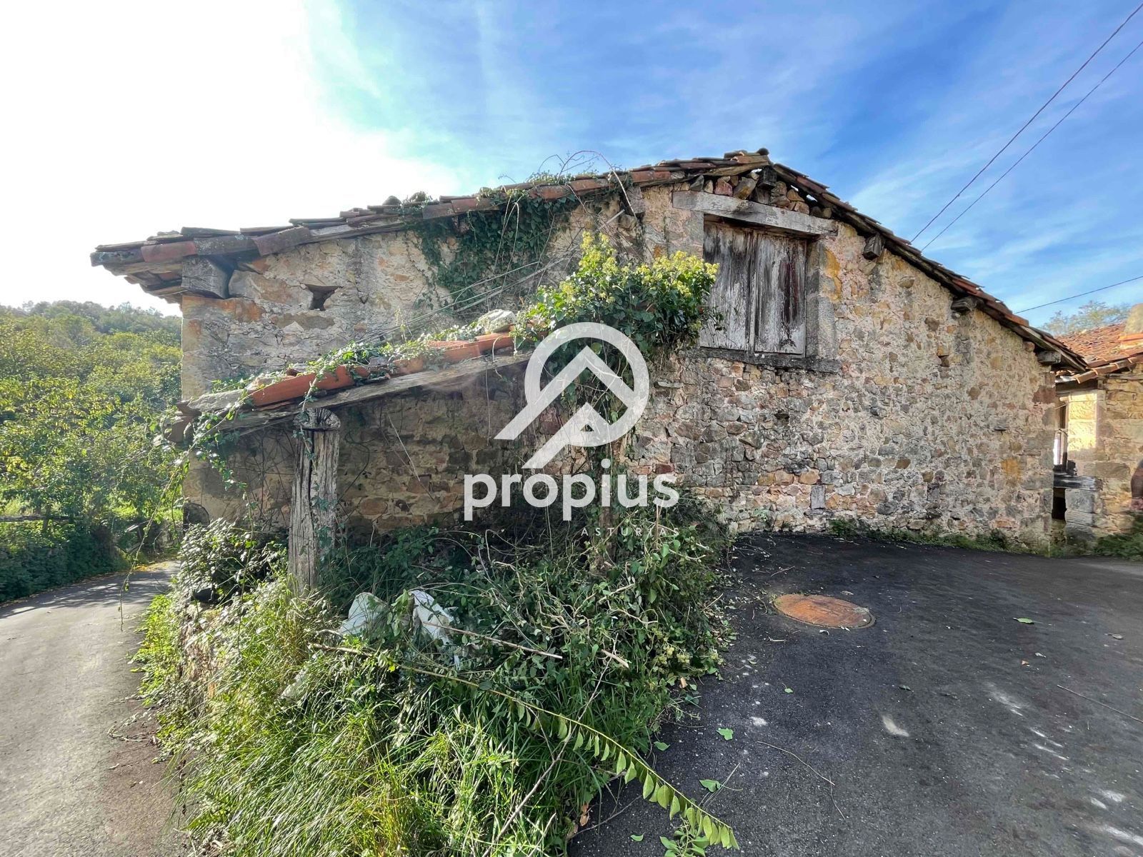 Casa o xalet en venda en Onís amb Calefacció i Terrassa